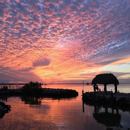 Amoray Dive Resort Key Largo Eksteriør billede