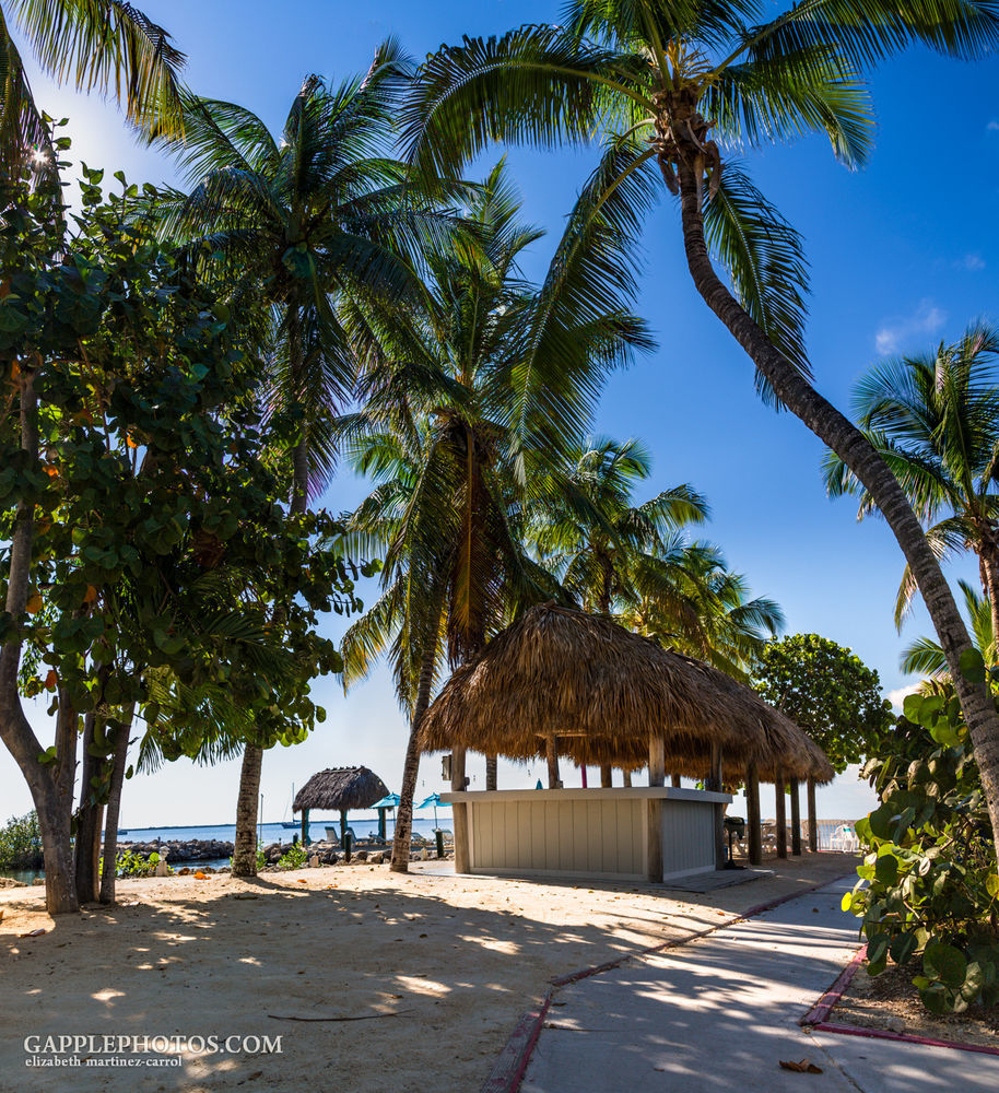Amoray Dive Resort Key Largo Eksteriør billede
